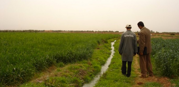 En dépit du blocage gouvernemental, une saison agricole prometteuse