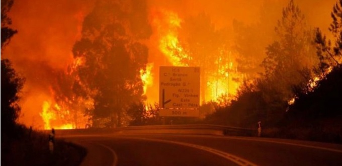 Plus de 60 morts dans un feu de forêt au Portugal