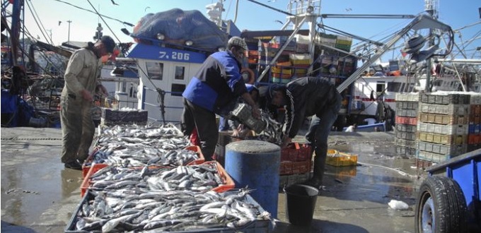 L’Union européenne se déclare « satisfaite » des retombées de l’accord de pêche avec le Maroc