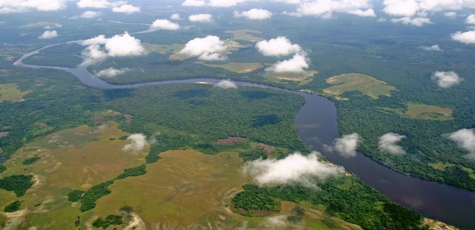 Bassin du Congo : les dirigeants africains se penchent sur la problématique écologique