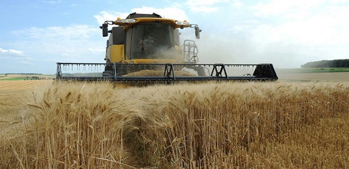 Récoltes céréalières : le gouvernement annonce de fortes mesures