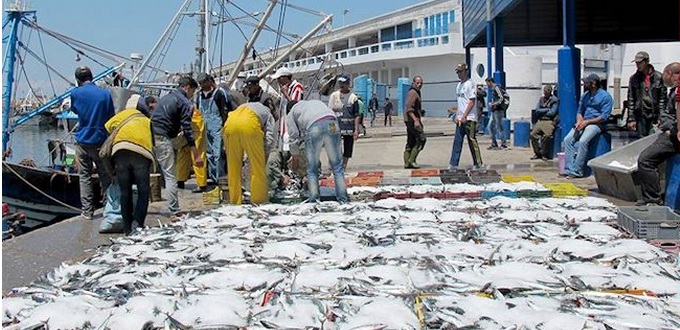 « Les collectivités locales doivent contrôler le prix du poisson pour éviter les hausses » (Kamal Sabri)