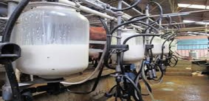 L’ONSSA rassure sur la qualité et la salubrité du lait commercialisé, mais...
