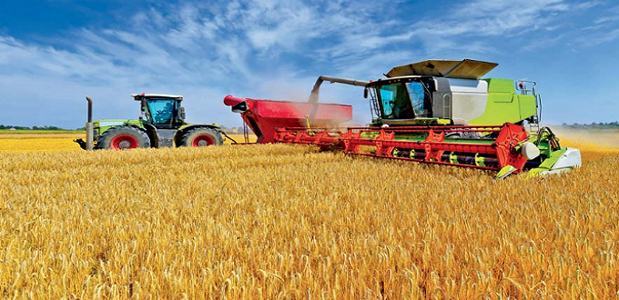 Céréales: récolte exceptionnelle de 103 millions de quintaux   
