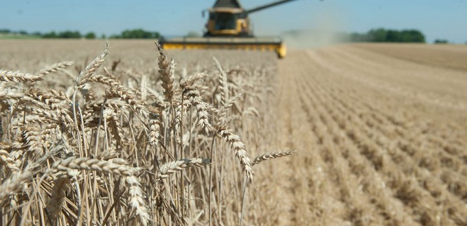 Le Maroc suspendra les droits de douane sur le blé tendre le 1er novembre